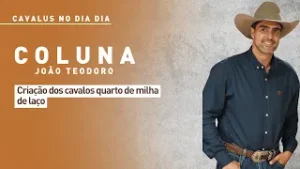 Cavalus no Dia Dia: criação dos cavalos quarto de milha de laço