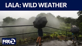Wild weather, power outages as Hurricane Lala lashes Hawaii | KTVU