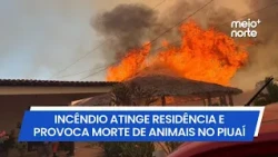 Fire reaches residential area and causes animal deaths in Bom Jesus | Meio News