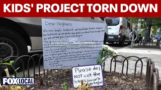 Kids' corn project chopped down on Upper East Side