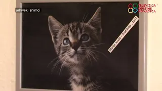 Dani Uzdina od 18. jula do 8. avgusta u znaku kulture, sporta i tradicije