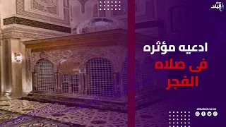 بعد صلاة الفجر .. دعاء ودموع تهز القلوب أمام مقام السيدة زينب