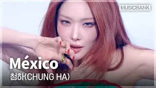 글리터에 이어 바람의 신이 보우하사...🙏 청하 (CHUNGHA) 'México' #뮤직뱅크 | KBS 260904 방송