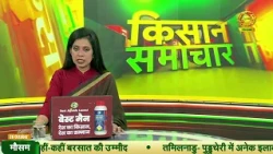 Kisan Samachar: जलवायु अनुकूल खेती: सुरक्षित फ़सल | Climate Change | DD Kisan | 26/10/2026