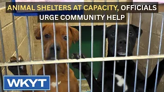 Animal shelters at capacity, officials urge community help
