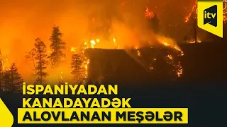 İspaniyadan Kanadayadək alovlanan meşələr: iqlim böhranı fonunda yanğınlar davam edir