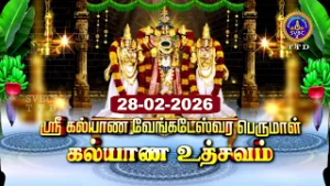 Sri Kalyana Venkateswara Swamy Kalyanam | Srinivasa Mangapuram | SVBC2 Tamil | 28-02-2026 | SVBC TTD