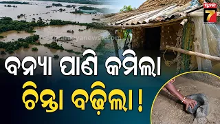 Odisha Flood |କମୁଛି ବନ୍ୟା ପାଣି କିନ୍ତୁ ବଢୁଛି ଲୋକଙ୍କ ଦୁର୍ଦ୍ଦଶା! ହଜାର ହଜାର ହେକ୍ଟର ଚାଷ ଜମି ବୁଡି ଫସଲ ନଷ୍ଟ