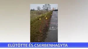 Elütötte és cserbenhagyta