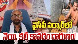 వైసీపీ సర్కార్ లో నెయ్యి కల్తీ కావడం దారుణం | Thota Sudheer | Prime9 News