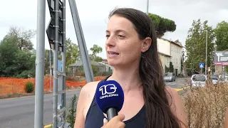 Rome, they want to cut down the historic pine trees on Via Braccianese: residents protest - Canal...