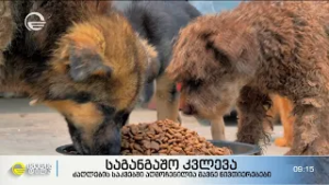 საგანგაშო კვლევა – ძაღლების საკვებში აღმოჩენილია მავნე ნივთიერებები