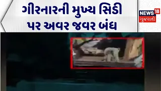 Junagadh Girnar News | ગીરનારની મુખ્ય સિડી પર અવર જવર બંધ | Gujarat Forest Department |Gujarati News