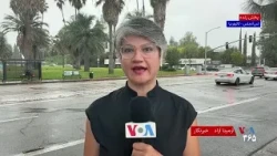 سفارش ۳۵ میلیارد دلاری غول‌های فناوری چین برای تراشه‌های آمریکایی انویدیا