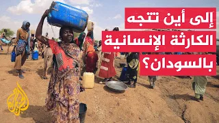 Director of the World Peace Foundation: Sudan faces the world's most severe humanitarian crisis