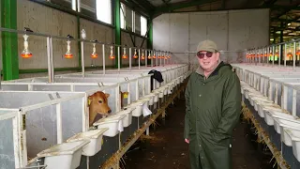 Türkiye’nin en büyük ‘Jersey’ çiftliği Bursa’da