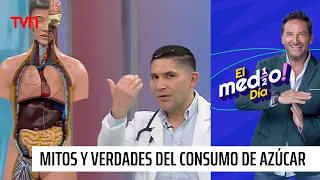 Los cuidados a la salud asociados con el consumo de azúcar | El medio día