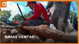 Vendedores de cocos solicitan reubicación tras bajas ventas