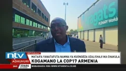 COP 17:  Je, dunia inaweza kushinda vita dhidi ya upotevu wa bioanuwai?