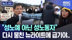 "성노예 아닌 성노동자" 다시 뭉친 뉴라이트에 급기야.. [뉴스.zip/MBC뉴스]