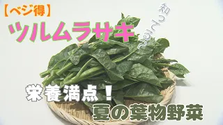 [Veggie Tips] Malabar Spinach