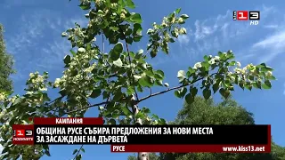 Община Русе събира предложения за нови места за засаждане на дървета