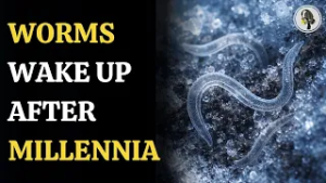 Siberian Ice Preserves Life for Tens of Thousands of Years | WION Podcast