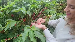 REGISTRATION OPEN: 19TH ANNUAL COFFEE QUALITY COMPETITION