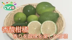 [Veggie Tips] Acidic Citrus Fruits