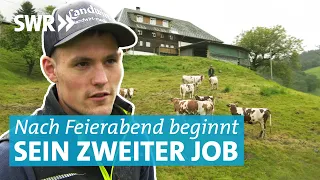 Landwirt im Nebenerwerb: Zwischen Weide, Logistiklager und Instagram