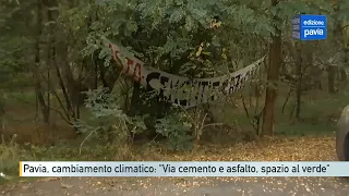 Pavia, climate change in city council: "Out with asphalt and concrete, make room for green space"