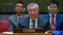China: The Yemen conflict should be resolved within the broader context of the Middle East situation