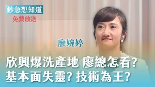 免費收看】欣興遭搜索慘跌停 廖總怎麼看？股價總是領先基本面 技術面才是王道？  - 統一投顧總經理 廖婉婷 🎙會員專屬《鈔急想知道》20260831