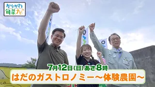 かながわ旬菜ナビ　次回予告（7月12日放送）