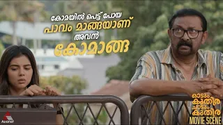 "കോമയിൽ പെട്ട് പോയ പാവം മാങ്ങയാണ് അവൻ .. കോമാങ്ങ "