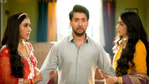 Gharwali Pedwali | Ep 47 | Preview | Feb, 17 2026 | Paras Arora, Seerat Kapoor, Priyamvada | And TV