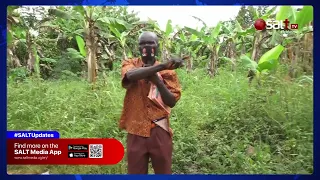 EBIVUMBUDDWA : Gwe baalekera eddaame n'emmaali yefuula