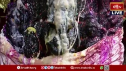 సంకటహర చతుర్థి సందర్భంగా గణపయ్యకు ఫలరసాలతో అభిషేక మహోత్సవం | Sankatahara Chaturdhi Special