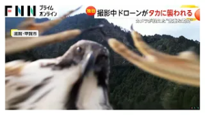 撮影中のドローンが突然墜落…原因は羽を広げて襲撃してきたタカ 10万円ドローン破壊も「最高の映像が撮れた」 滋賀・甲賀市（2026年02月25日）