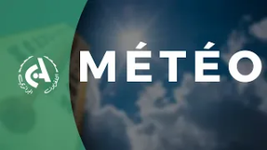 #météo 19H00  l  25-02-2026