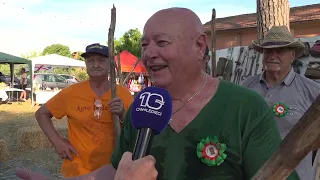 Isola Sacra, the "Threshing Festival" tradition is renewed