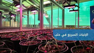 افتتاح بيت للإنبات السريع في حلب بالتعاون بين "البحوث الزراعية" ووكالة التعاون والتنسيق التركية