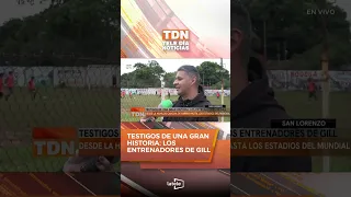 🟩 Witnesses to a Great Story: Gill's Coaches