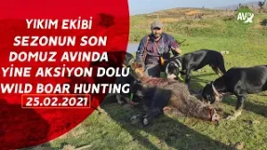 WILD BOAR HUNTING AV ZAMANI YIKIM EKİBİ 2020 - 2021 SEZONU SON DOMUZ AVI