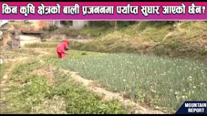 किन कृषि क्षेत्रको बाली प्रजननमा पर्याप्त सुधार आएको छैन?  News Report