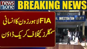 FIA Lahore Zone cracks down on human smugglers! | Breaking News | News One