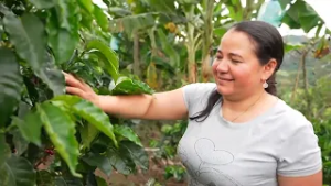 #EnlaceTrece | Caficultores del Huila implementan filtros verdes para proteger el agua