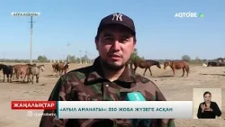 «Ауыл аманаты»: 350 жоба жүзеге асқан