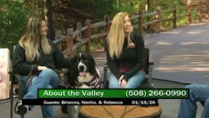 About the Valley: Rising Sun Dog Walking