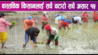 असार १५ को सन्देश: कृषिमा प्रविधि र युवाको सहभागिता अपरिहार्य | News Report |